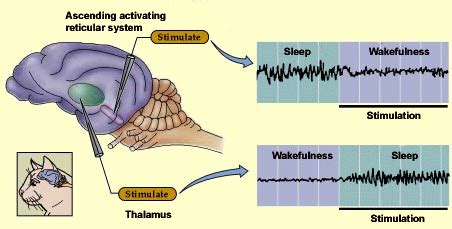 眠気覚まし目が覚める画像：視覚的刺激と脳の活性化